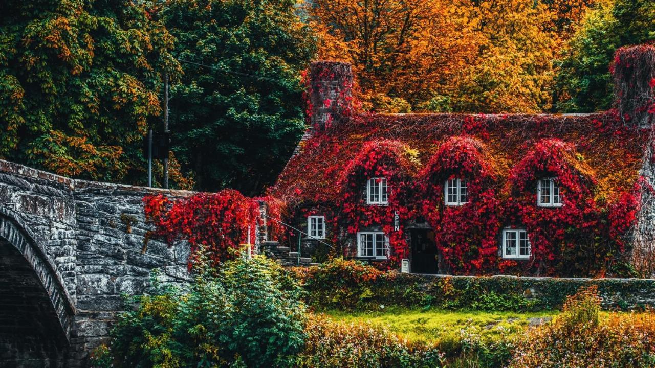 Sterling Bed & Breakfast Лландидно Номер фото